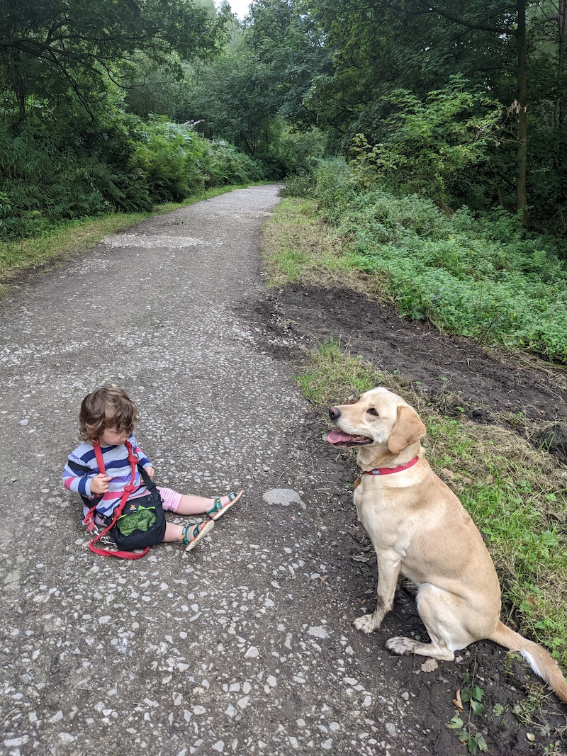 toddle and dog sitting on a path